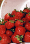 Strawberries